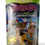 Scooby-Doo Choose Your Own Adventure eBook – Mystery for Ages 7-12-0