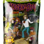 Scooby-Doo Choose Your Own Adventure eBook Stone Arch Story-0
